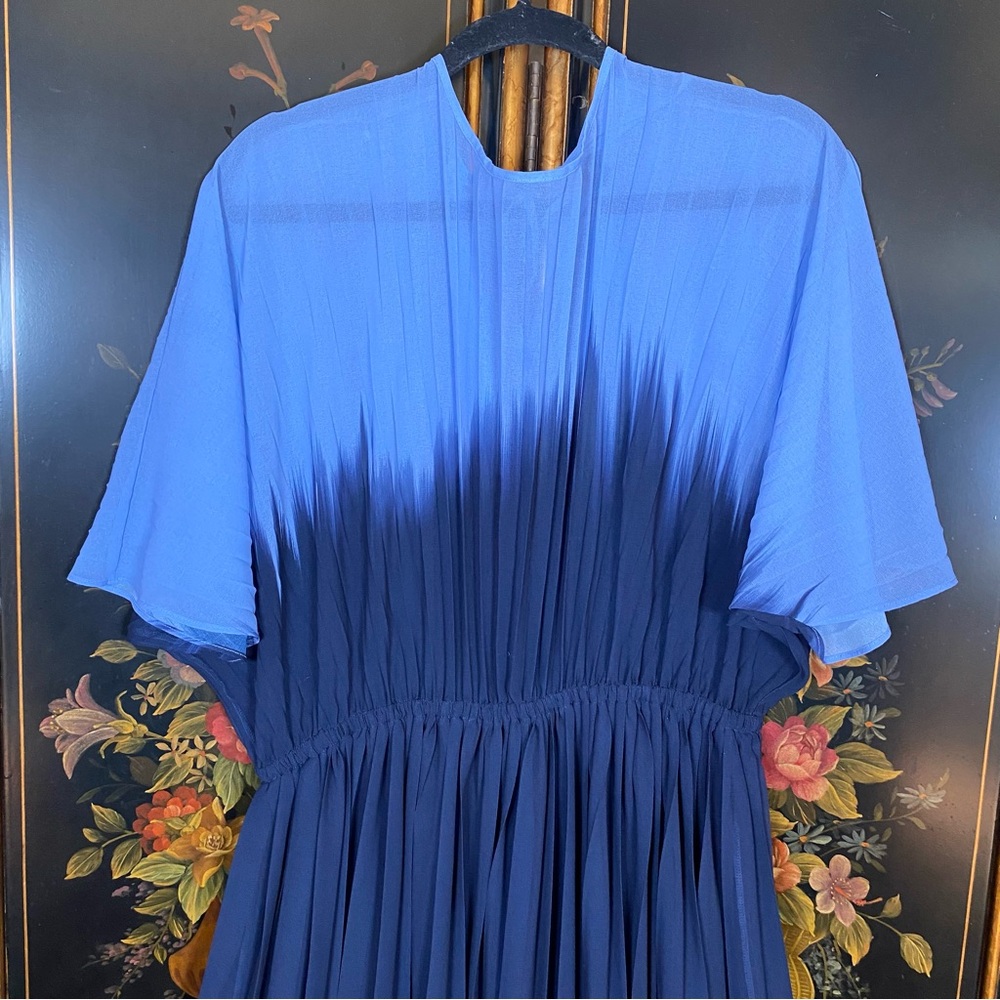 Banana Republic Chiffon Pleated Maxi Dress - Picture 3 of 9